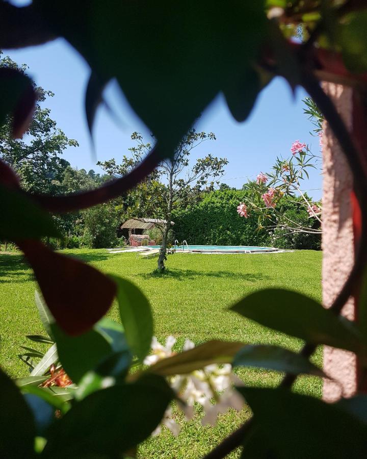 Casa Pilar Villa Capannori Buitenkant foto