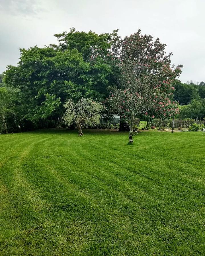Casa Pilar Villa Capannori Buitenkant foto