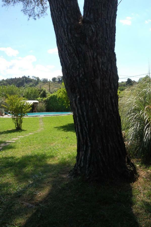 Casa Pilar Villa Capannori Buitenkant foto